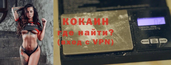 хмурый Новозыбков
