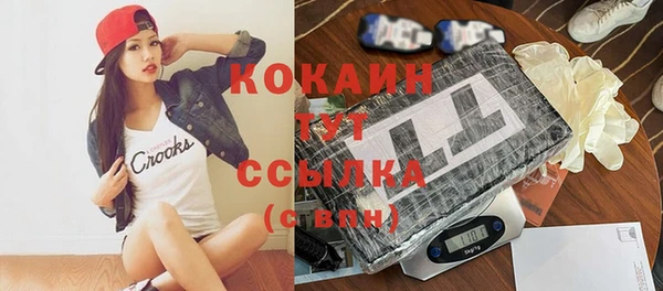 спиды Дмитриев